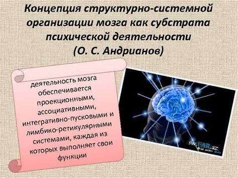 Исследование роли мозга в психической деятельности