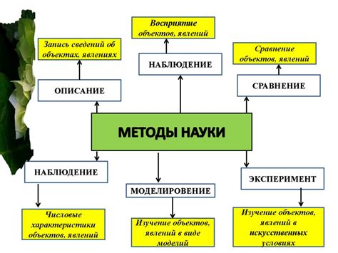 Исследования структуры живых организмов: последние научные открытия