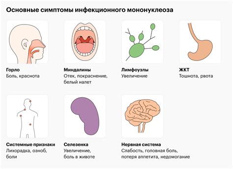 Исследуем типичные проявления стволовых симптомов