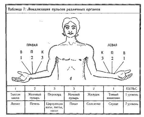 Исследуйте пульс