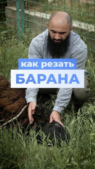 Истинное значение сна: резать барана