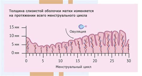 Истончение эндометрия