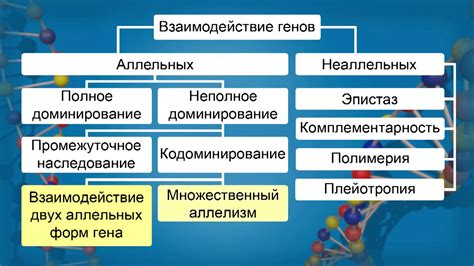 История изучения аллельных генов