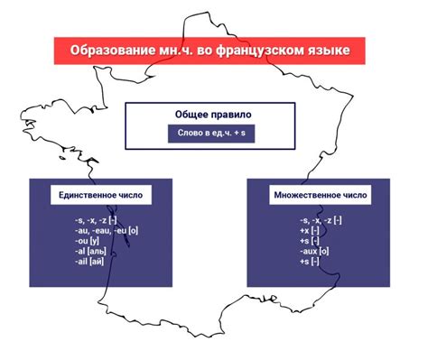 История имен во французском образовании