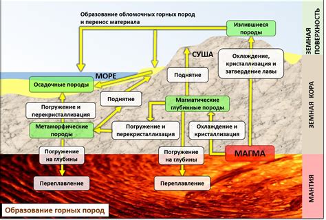 История и происхождение пород