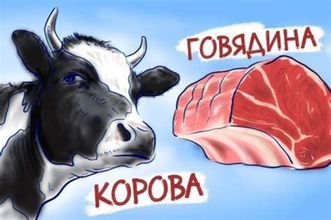 История названий продуктов питания