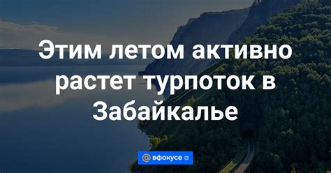 Источники питания в пути: рекомендации для путешественников