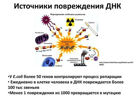 Источники повреждений