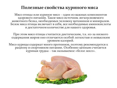 Источник энергии: полезные свойства куриного мяса