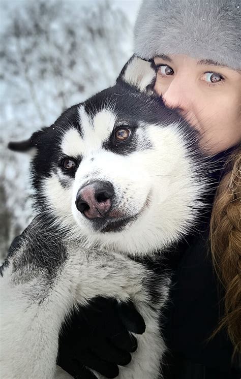 Каждый хозяин собаки должен знать...