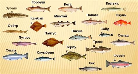 Какие виды рыбок кусаются у побережья Средиземного моря?