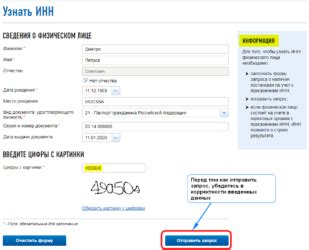 Какие данные можно узнать о собственности по ИНН через базу данных