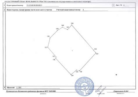 Какие документы необходимы для изменения кадастрового номера