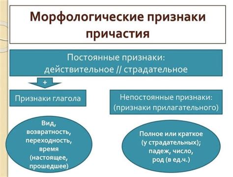 Какие другие признаки возвратности можно встретить в морфологическом разборе причастия?