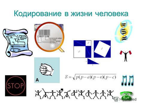 Какие еще единицы информации существуют