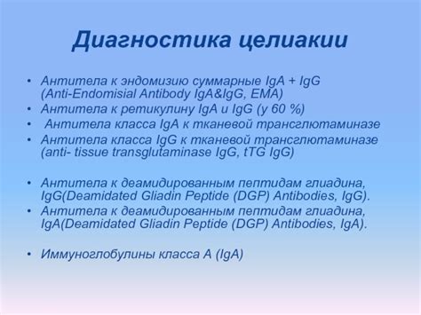 Какие значения результатов указывают на положительное значение IgG к Бордетелле пертуссис?