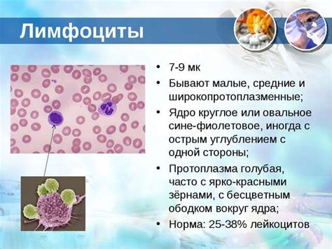 Какие меры принимать при наличии активированных лимфоцитов у ребенка?