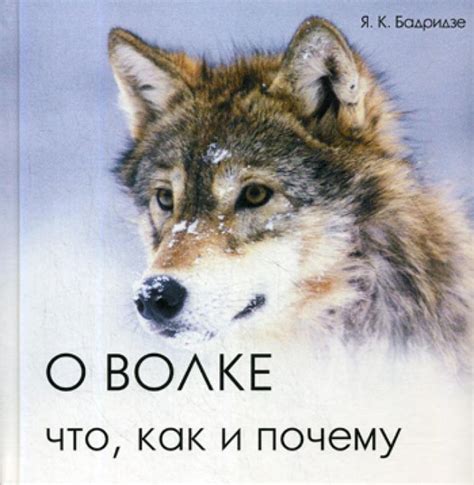 Какие предсказания и знаки судьбы связаны с сновидениями о волке