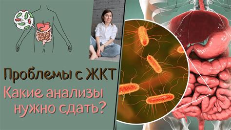 Какие проблемы с желудочно-кишечным трактом решают данные препараты?