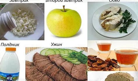 Какие продукты богаты насыщенными жирными кислотами