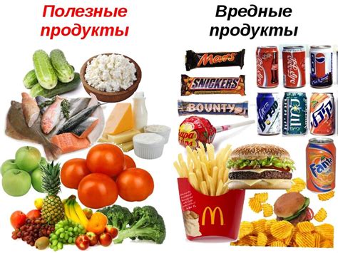 Какие продукты включают в школьный рацион