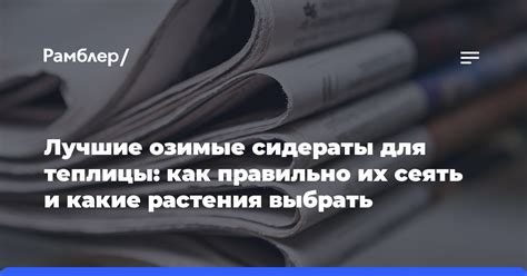 Какие растения выбрать для теплицы