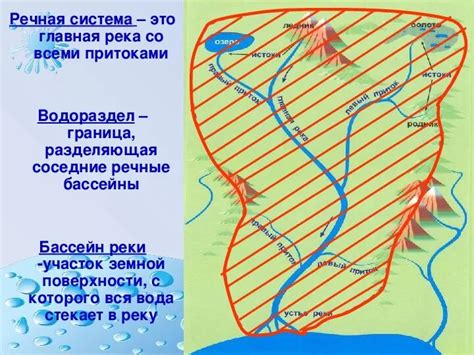 Какова роль бассейна реки в географии?