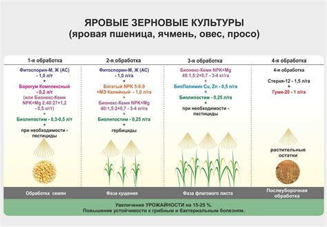 Каковы основные химические свойства зерен волютина?