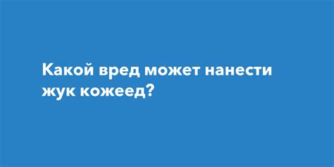 Какой вред может нанести схватка за крылья