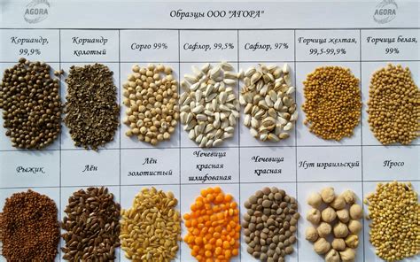 Какой сорт манной крупы лучше всего подходит для каши