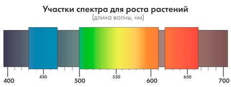 Какой спектр красного света выбрать