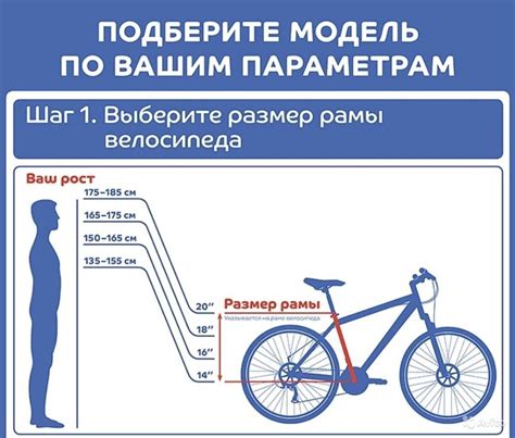 Какой способ лучше выбрать: ходьбу или велосипед? Советы экспертов