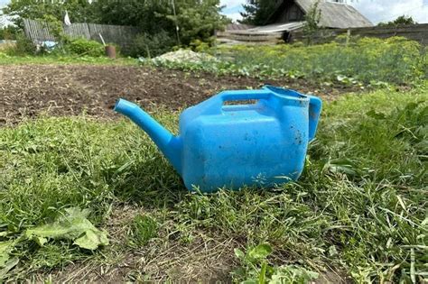 Какой температуры должна быть вода