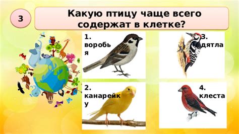 Какую птицу ты больше всего напоминаешь?