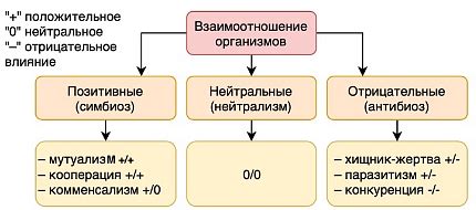 Как возникает взаимоотношение?