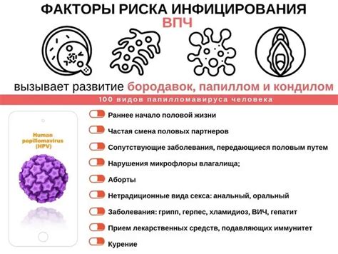 Как возникают инфекции Впч 2