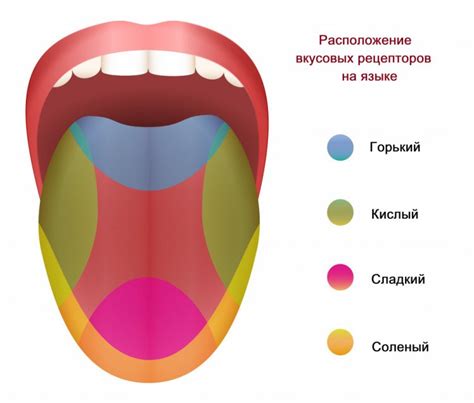 Как восстановить вкус еды: полезные советы и вкусные рецепты