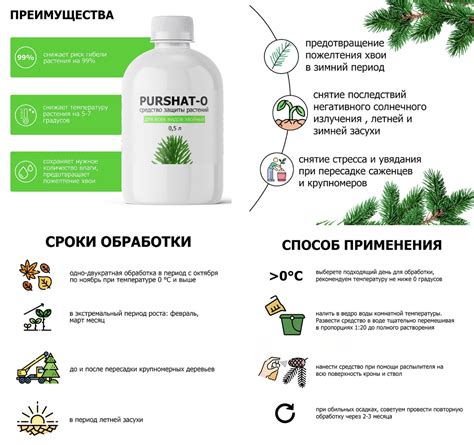 Как выбрать и посадить саженец чубушника