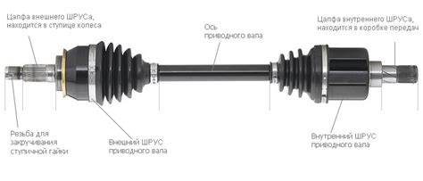 Как выбрать и установить внешний шрус