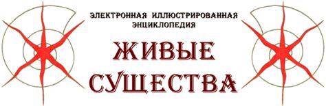 Как выбрать надежного экстрасенса