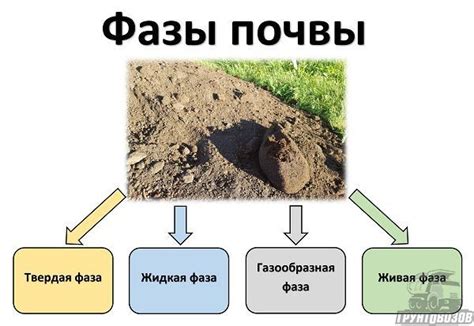 Как выбрать оптимальный состав почвы