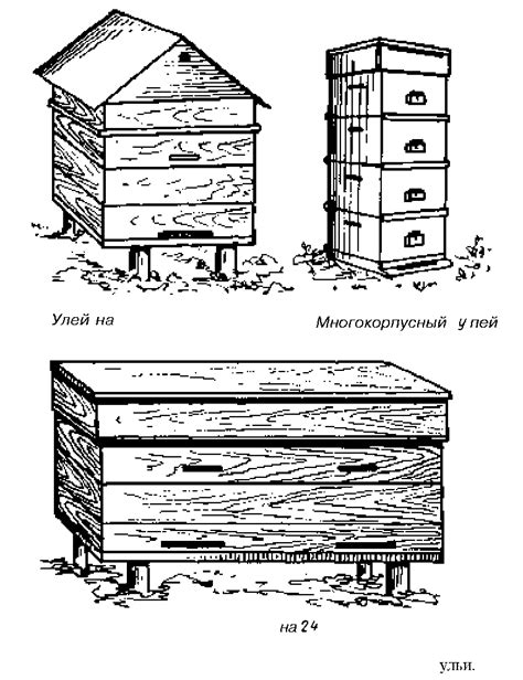 Как выбрать подходящий тип улья для нуклеуса пчел