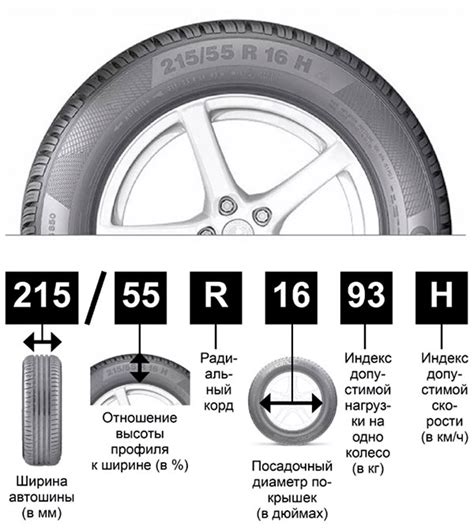 Как выбрать правильный профиль шины для автомобиля