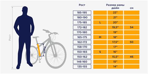 Как выбрать размер велосипеда по росту
