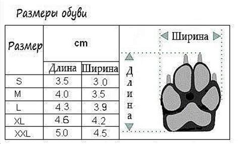 Как выбрать размер обуви для собаки: руководство и советы