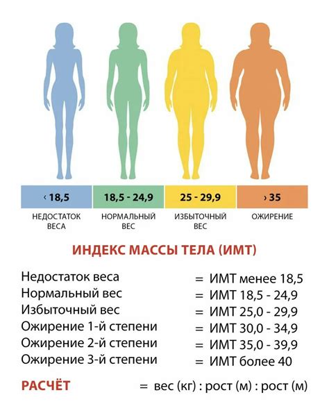 Как вычислить индекс массы тела женщины