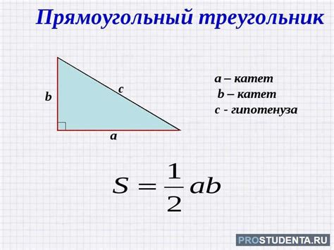 Как вычислить катет треугольника по площади