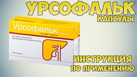 Как действует Урсофальк на организм