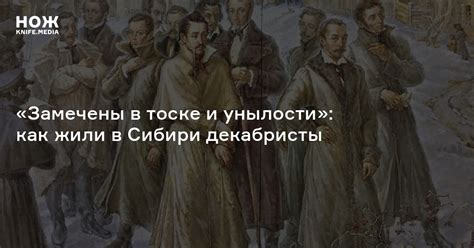 Как декабристы воспринимали западные идеи и как это отразилось на их деятельности?