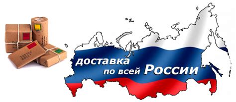 Как заказать Шеин в Россию: доставка и оплата